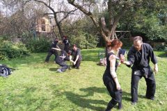 Bujinkan Ninjutsu Training