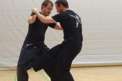 Bujinkan Ninjutsu Taijutsu