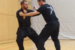 Bujinkan Ninjutsu Taijutsu