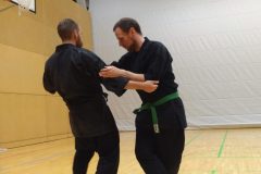 Bujinkan Ninjutsu Taijutsu