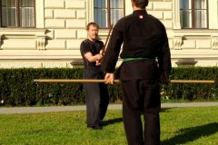 Bujinkan Ninjutsu Bojutsu