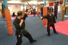 Bujinkan Ninjutsu Hanbojutsu