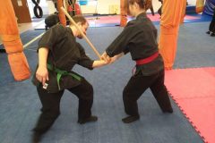 Bujinkan Ninjutsu Hanbojutsu