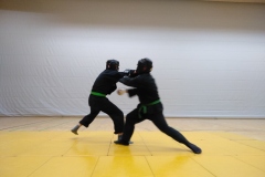 Randori