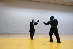 Randori