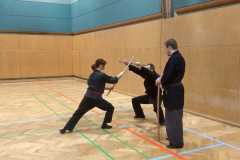 Bujinkan Ninjutsu Hanbojutsu