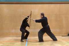 Bujinkan Ninjutsu Hanbojutsu