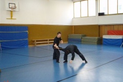 Bujinkan Ninjutsu Training