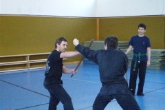 Bujinkan Ninjutsu Hanbojutsu